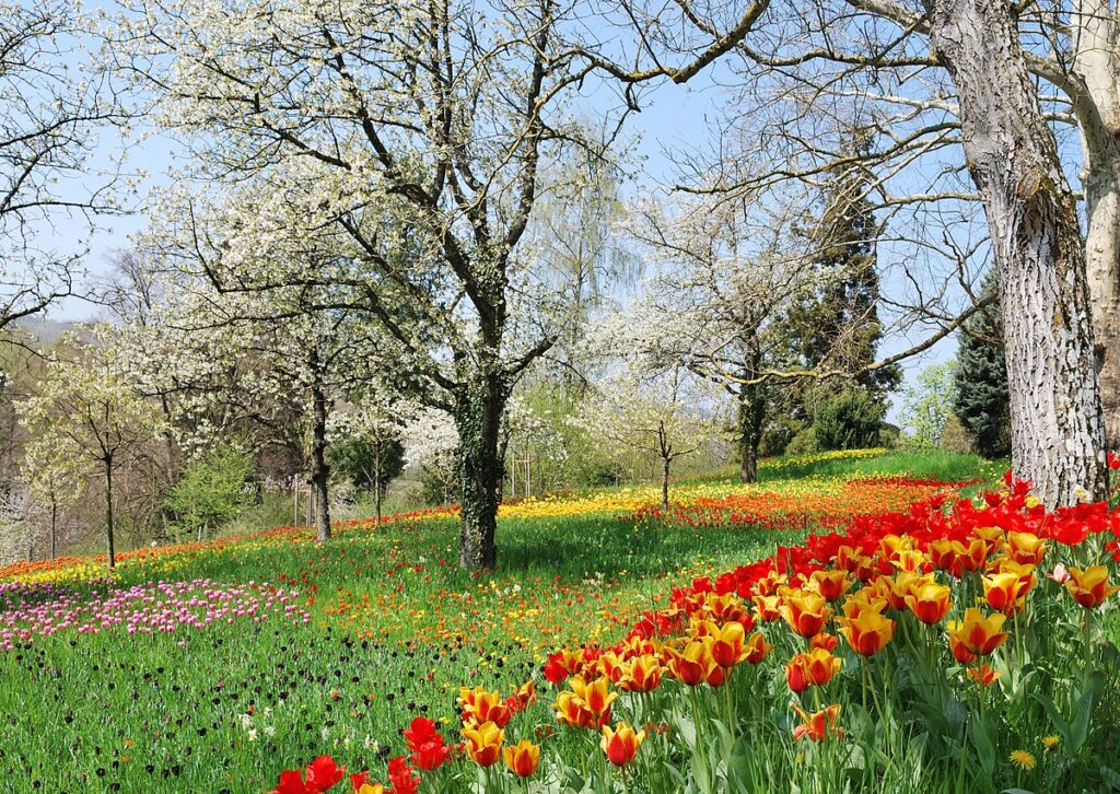 What Can You Expect from this Spring Housing Market?