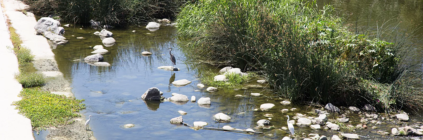 LA Riverway Project